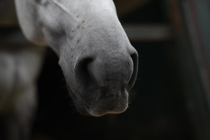 Alternate Nostril